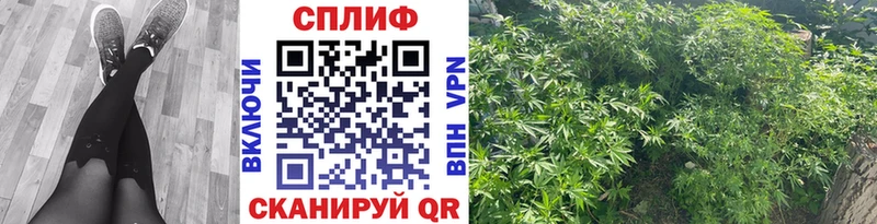 МАРИХУАНА планчик  Уяр 
